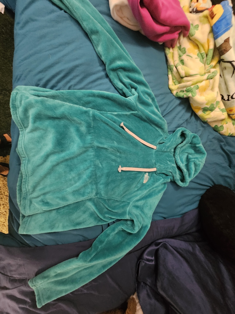 The North Face Plush Teal Hooded Fleece Pullover